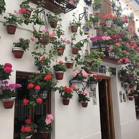 Apartamento El Rincon De La Verdad コルドバ エクステリア 写真