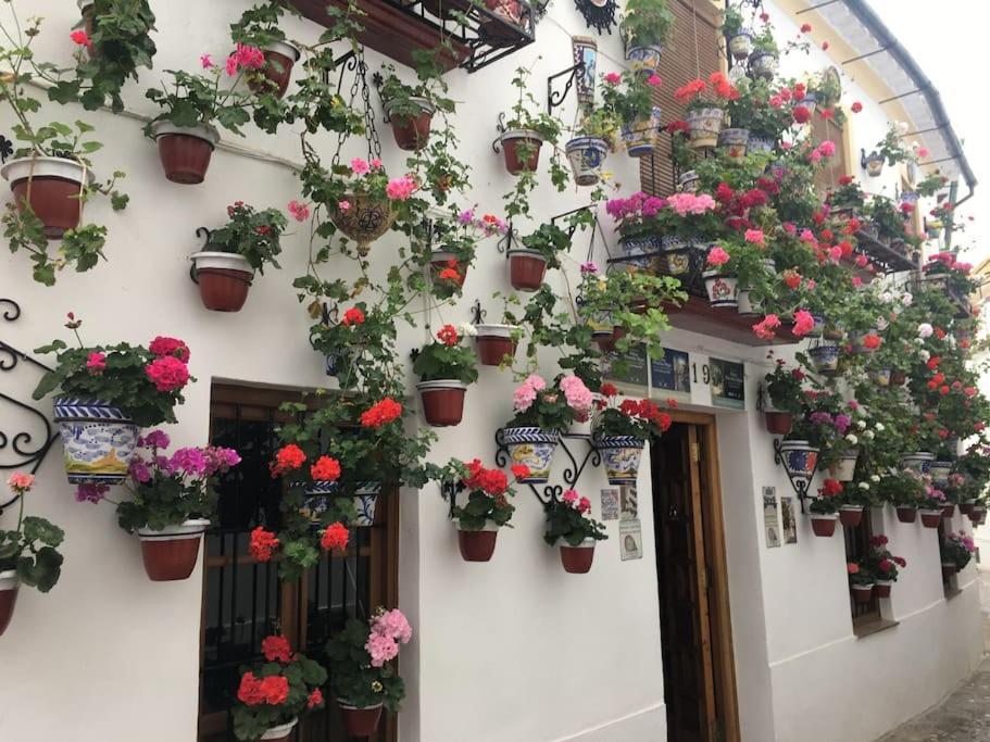 Apartamento El Rincon De La Verdad コルドバ エクステリア 写真